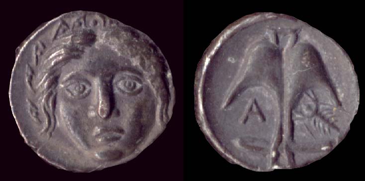 coin image