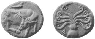 coin image