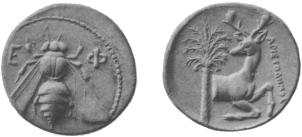 coin image