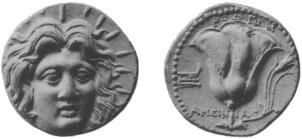 coin image