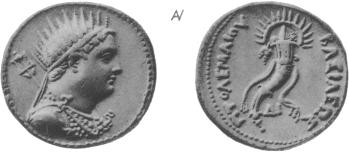 coin image