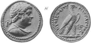 coin image