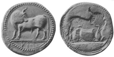 coin image